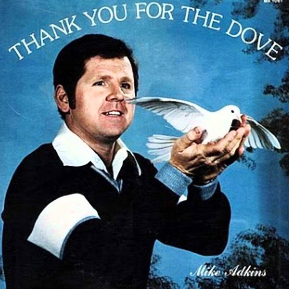 Mike Adkins - Thank You For The Dove